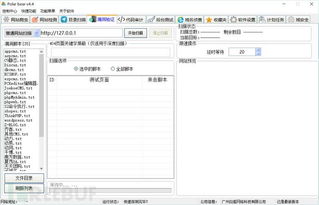 北極熊掃描器4.4企業版 引領網絡與信息安全軟件開發新紀元