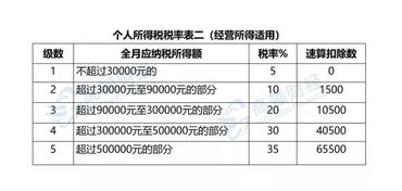 會計專業能力提升 稅務、社保與工商年報代理實踐指南